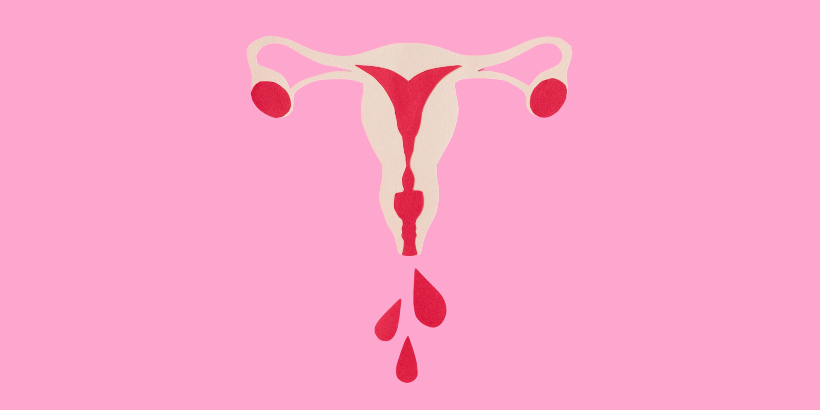 Die 4 Phasen deines Zyklus – und wie du sie für dich nutzt