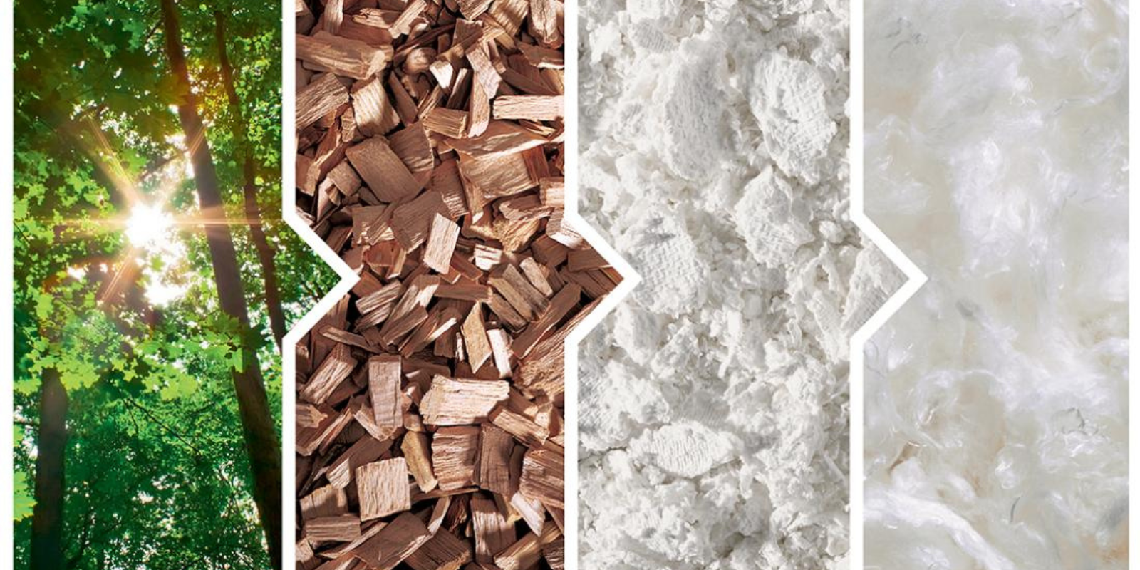 Lyocell vs. Bio-Baumwolle: Warum wir anders sind